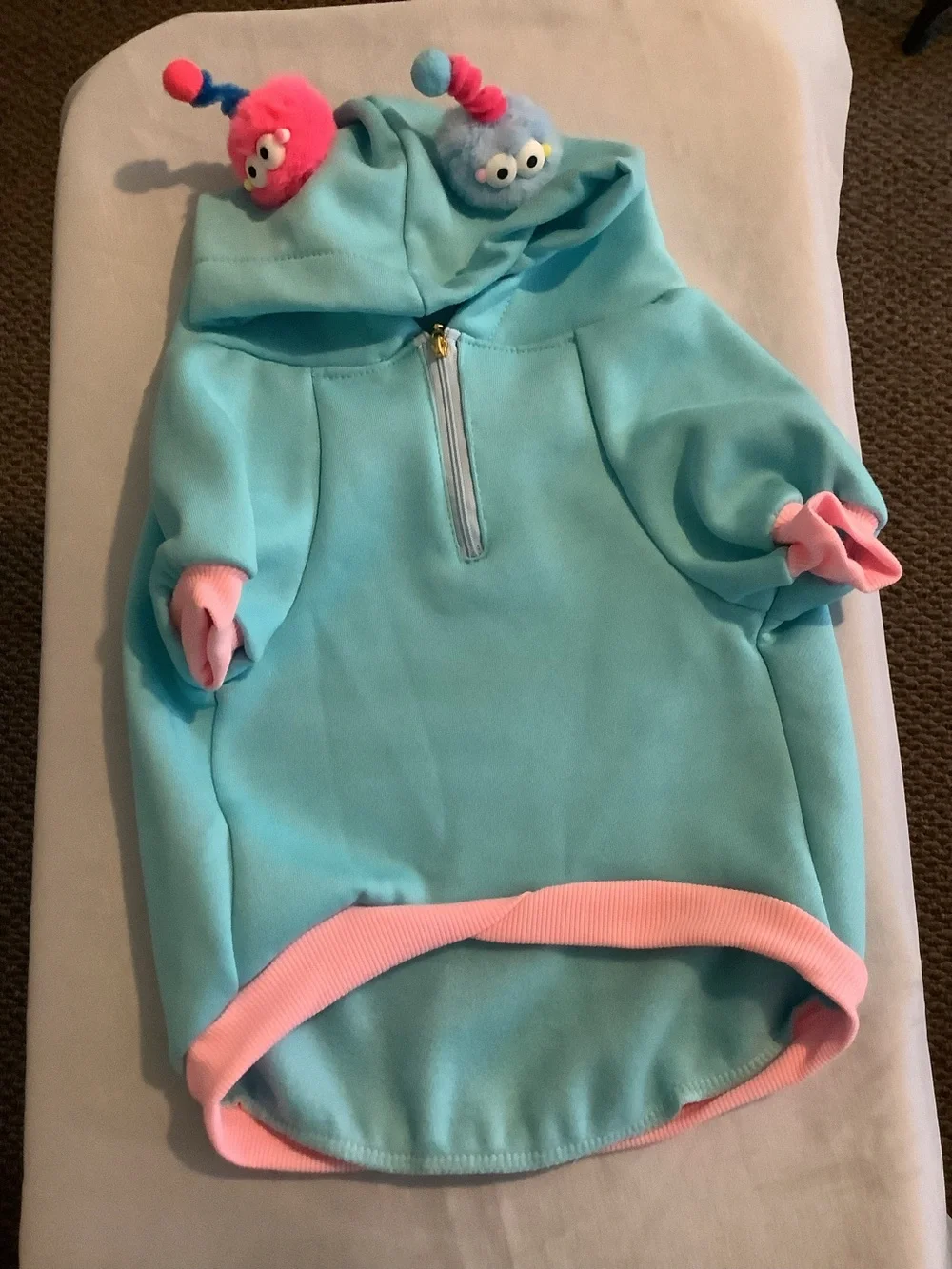 Light Aqua Plush Hoodie - Large